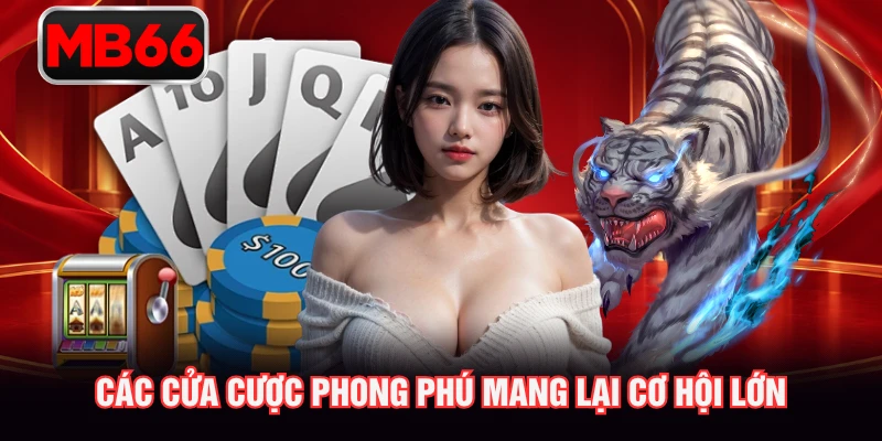 Các cửa cược phong phú mang lại cơ hội lớn